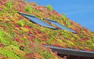 Felpham living roof systems